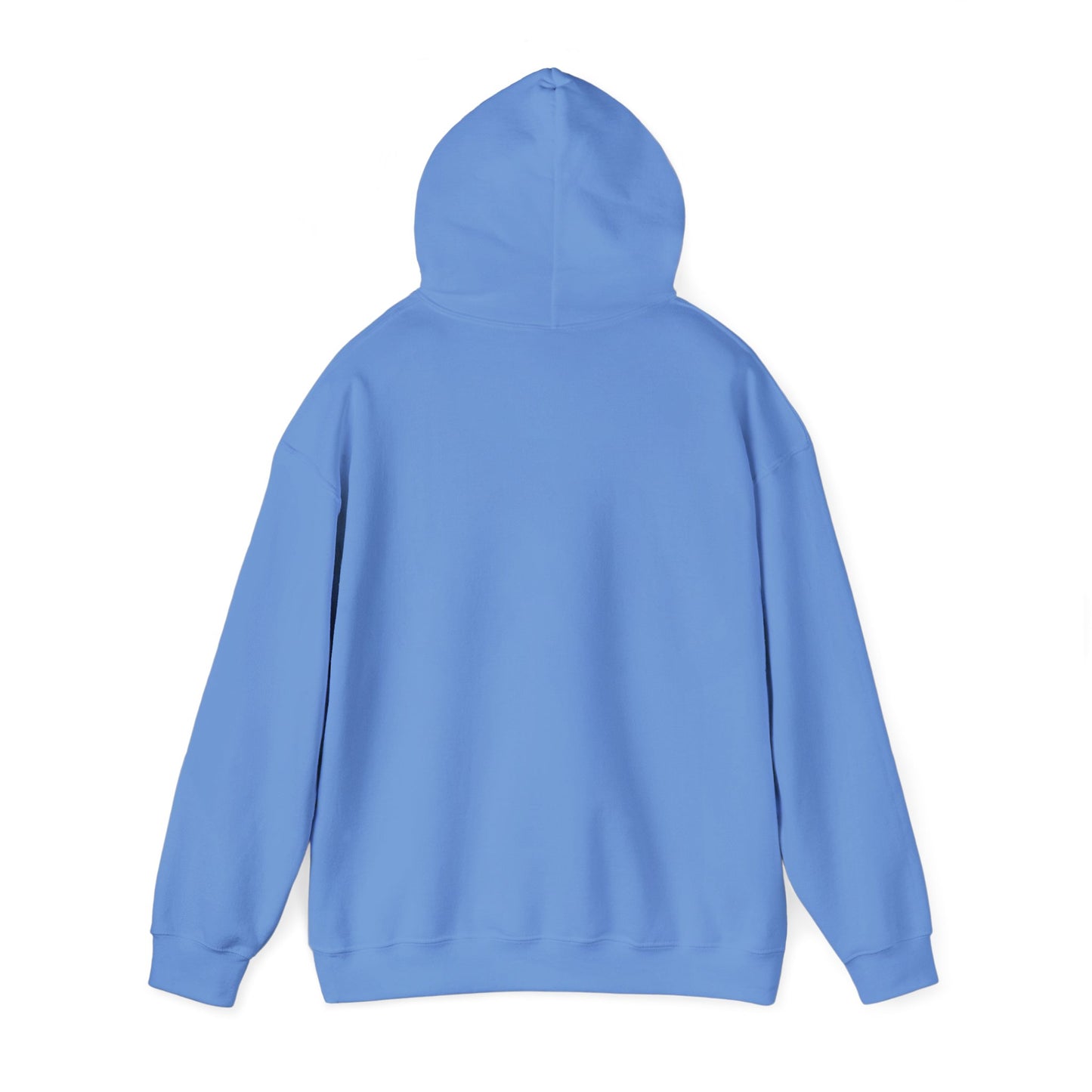 Because He Lives, I Can Face Tomorrow Unisex Heavy Blend Hooded Sweatshirt
