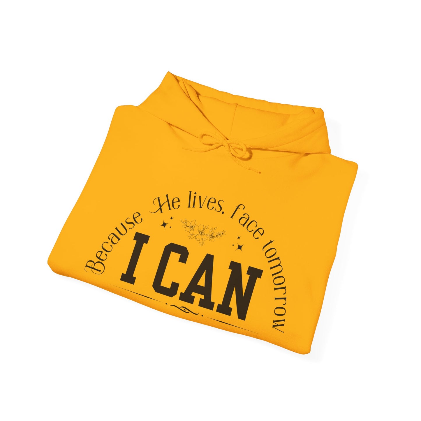 Because He Lives, I Can Face Tomorrow Unisex Heavy Blend Hooded Sweatshirt